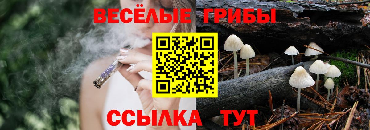 Галлюциногенные грибы MAGIC MUSHROOMS  Вход с VPN  Артём 