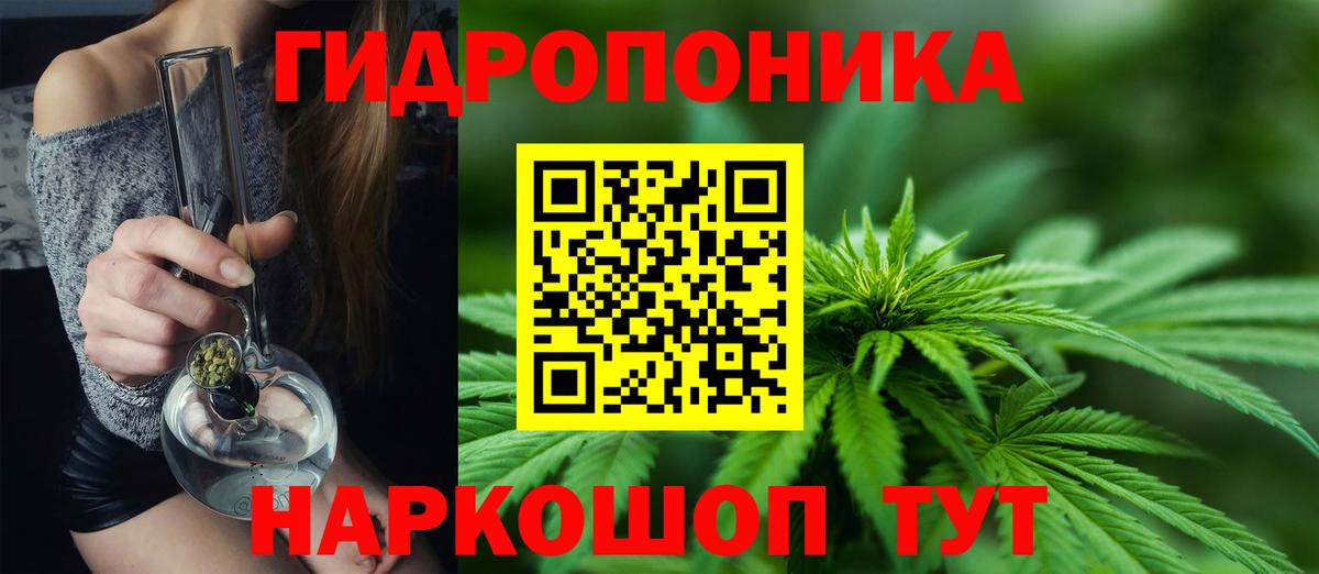 Каннабис OG Kush Артём